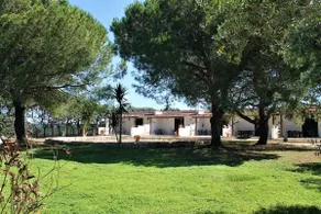 Residence Conchiglia San Giovanni - Image 4