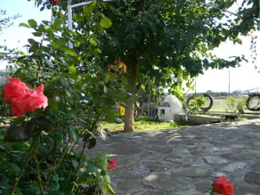 Mika's Farmhouse - Image 2