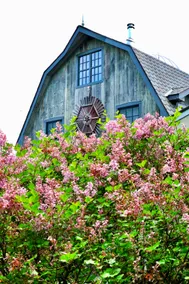 Silo-country home steeped with delicious touches. - Image 4