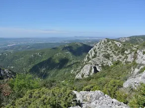 Le Barry - Image 4