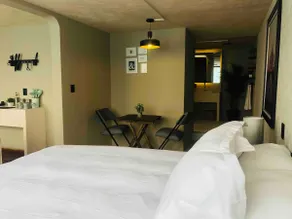 Beautiful Loft-Style Apartment, Downtown Toluca - Image 3