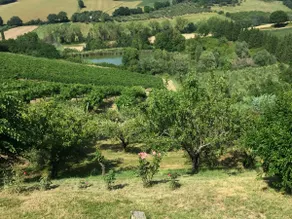 Villetta le Rose - Image 5