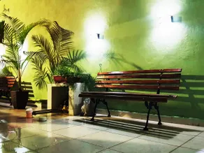 Carvalho de Paquetá - Image 5