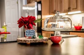 High-End South Side 4 Bedroom House, sleeps 15! - Image 2