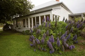 Lonsdale Palms Heritage House - an elegant getaway - Image 2