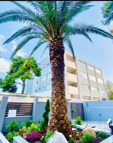Phoenix Garden 4 - Sun Apartment - Image 3