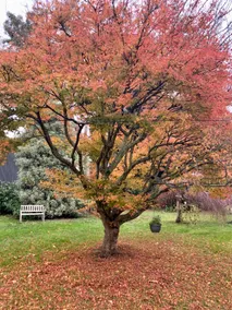 A Bed & A Red @ Berry’s Creek - Image 5