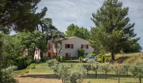 Charming F3 surrounded by vines and olive trees - Image 2