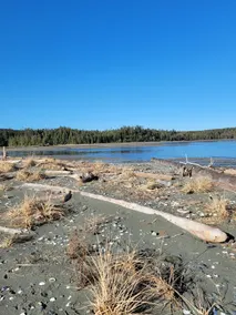 Cypress suite in Port McNeill - Image 4