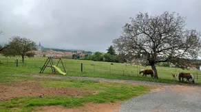 country home - Image 5