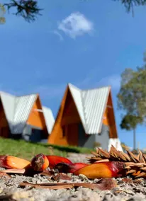 Chalets in the mountains - Image 4