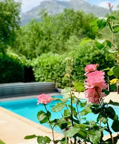Villa con piscina privata e giardino / Costa Azzurra - Image 2
