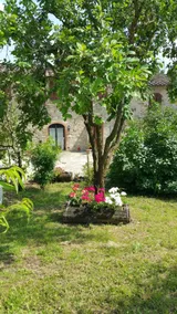 Colonica Montebeni - Image 3