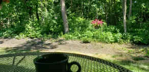 Peace of Nature Rustic Retreat - Image 5