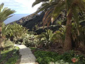 Casa CASA ALOHA Palm oase over havet i naturreservatet i La Gomera - Image 3