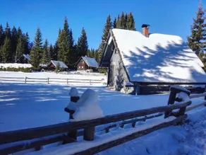 Chalet Pokljuka Vital, Slovenia - Image 3
