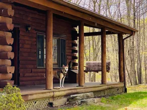 Private Log Cabin, Fiber WiFi, Lots of Wildlife! - Image 4