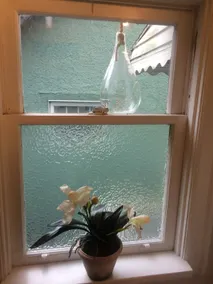 Quaint private Kitsilano Suite, Beach 18 min walk! - Image 2