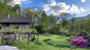 Detached hideaway Rustico in the middle of the forest - Image 3