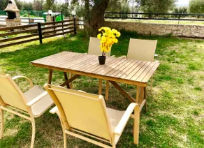 Olive Tree Villa with Private Yard near the Beach! - Image 5
