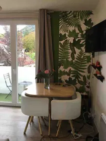 Bright apartment overlooking the Pic du Ger - Image 4
