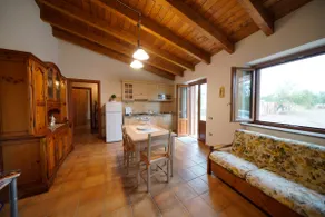 The Olive Grove - Image 4