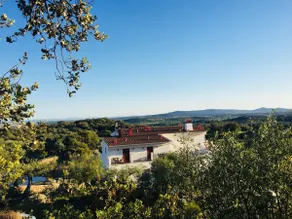Flores Amarillas Farm - Image 5