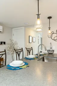 Beautifully Renovated DC Row Home - Image 5