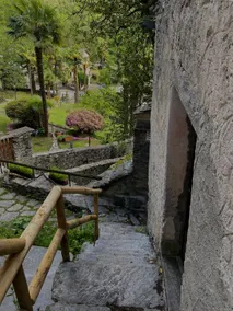 Rustico Leoro - Image 3