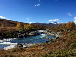 Cozy cabin Jotunheimen/Lemonsjøen - Image 2