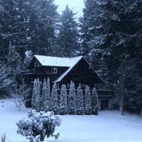 Rest, relax and recharge at this amazing log cabin - Image 4