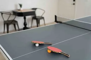 Spring Training w/ Barbecue, Fire Pit, & Ping Pong - Image 2