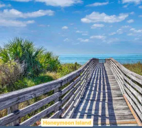 *Pool* 8.5 miles to Honeymoon Island. 4 bdr - Image 4