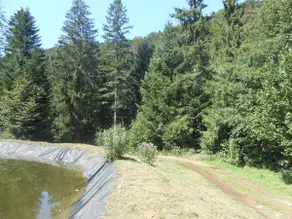 unusual cottage with pond in the middle of the forest - Image 5