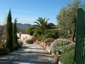 La Molina Del Olivar - Peaceful Location - Image 3