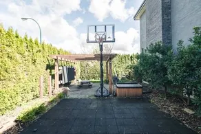 Corkscrew Willow Estate - Image 5