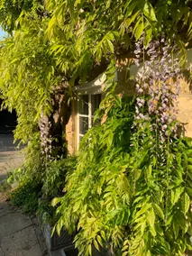 Beautiful, cosy period cottage - edge of Cotswolds - Image 2