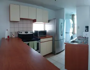 Amazing Ocean View Corner PH Surrounded by Nature - Image 4