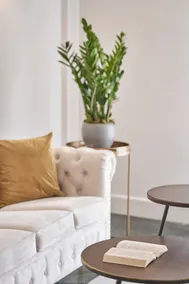 Chic n Bright 3Bd Apt with Hilton View - Image 4