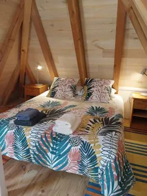 the cat house - Image 4