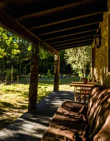 Forest House - Image 2