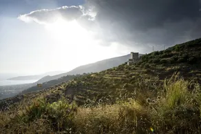 Benos Tower - Image 4