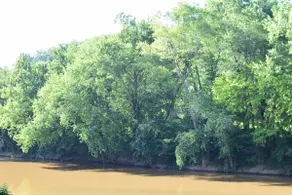 River's Edge Retreat - Image 5