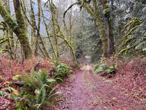Cottage on Cornell Creek - Image 4