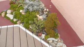 Oceanfront House - 'Best Patio' In Mission Beach,  Pet Friendly! - Image 4