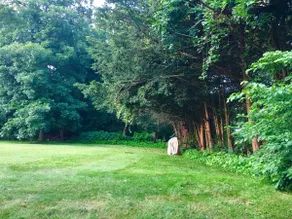 Private 1 bedroom apartment in central Connecticut - Image 5