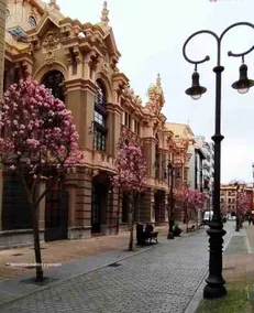Apartamento Palacio Valdés, centro Avilés, con parking - Image 4