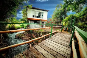 Rainforest Cabin in Escazu. Best of both words - Image 3