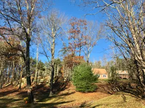Relax on the Ridge - 2 miles from Woodstock - Image 2