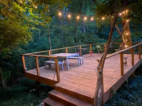 Central Nashville Escape with Secluded Forest Deck - Image 3